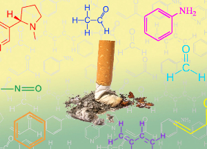 NicoZero blocks the sensitivity of the receptors for the nicotine
