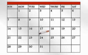 calendar