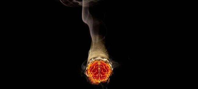 The dangers of burning cigarettes and nicotine